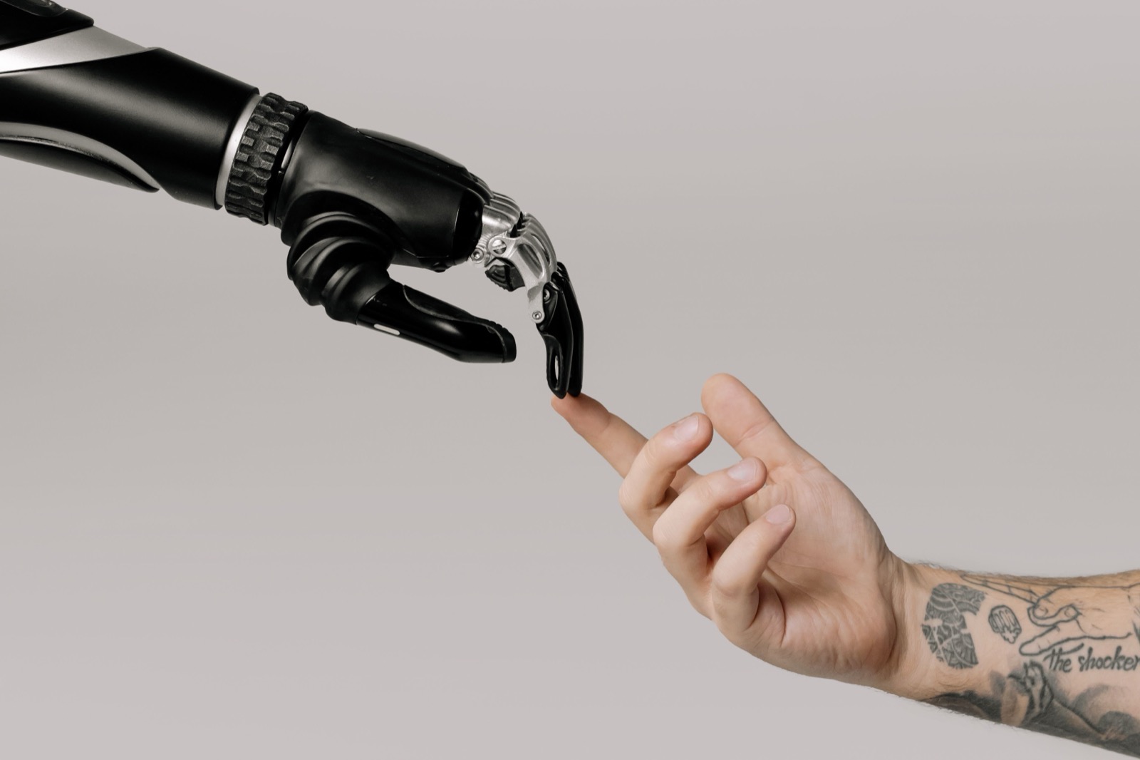 Person engaged with technology, representing the opportunity accessibility creates for every visitor